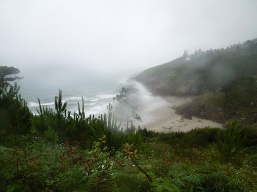 and it didn't stop...