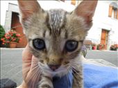 Another new friend! :): by kimlyons, Views[216]