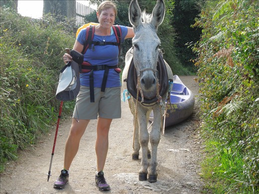 Day 16: You know, just a donkey pulling a boat...
