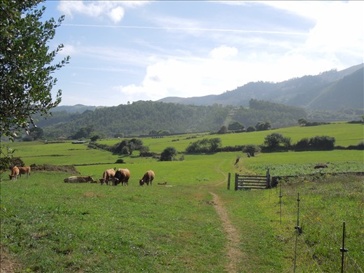 Day 17: On the Way to Isla