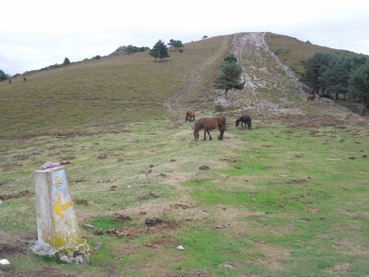 Day 24: Heading into the gorgeous Hospitalieras Mountains. 