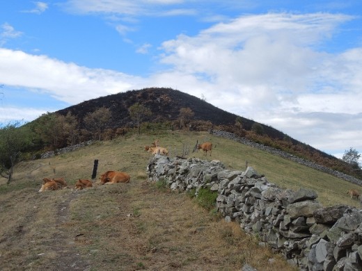 Day 24: Uh-oh! Traffic jam on the Way to Berduecedo