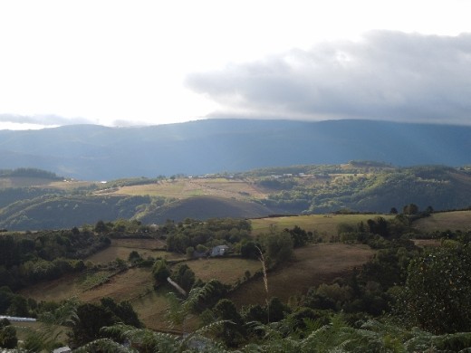 Day 26: On the Way to Fonsagrada