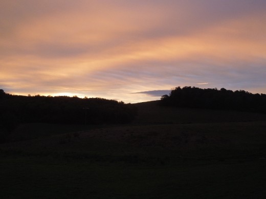 Day 28: a lovely start to the day on the Way to Lugo!