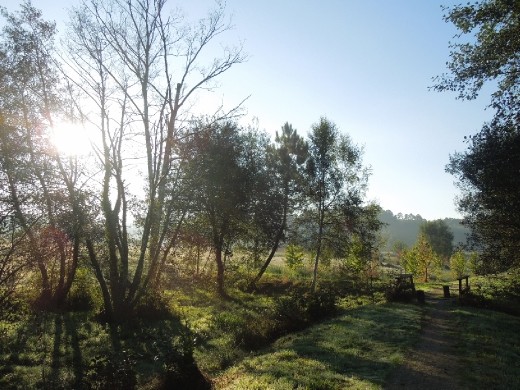 Day 35: On the Way to Betanzos