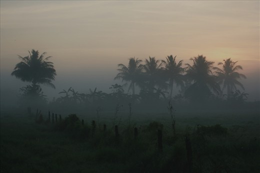06:33am: On Christmas morning in 2009, I was sleeping on the back seat of the car while on our way to our province, Nueva Ecija, Philippines. My dad woke me up before sunrise as he parked on the side of the road. The fields were quiet and empty while the mist creeps. 