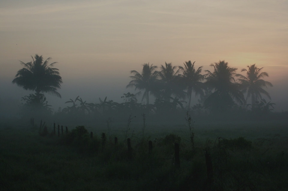 06:33am: On Christmas morning in 2009, I was sleeping on the back seat of the car while on our way to our province, Nueva Ecija, Philippines. My dad woke me up before sunrise as he parked on the side of the road. The fields were quiet and empty while the mist creeps. 