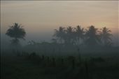 06:33am: On Christmas morning in 2009, I was sleeping on the back seat of the car while on our way to our province, Nueva Ecija, Philippines. My dad woke me up before sunrise as he parked on the side of the road. The fields were quiet and empty while the mist creeps. : by kimmydeleon, Views[334]