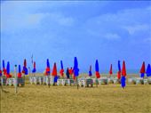 Umbrellas on Deauville Beach: by kimswim, Views[759]