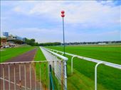 Deauville  Hippodrome: by kimswim, Views[155]