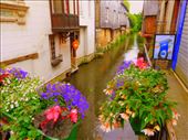 Pont Audemer 1: by kimswim, Views[158]