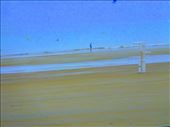 Low Tide: by kimswim, Views[182]