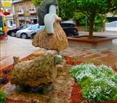 by kimswim, Views[464]