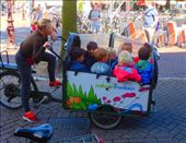 by kimswim, Views[674]