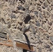 Hardon: by kimswim, Views[379]