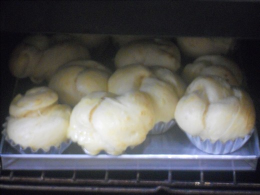 Growing in the oven