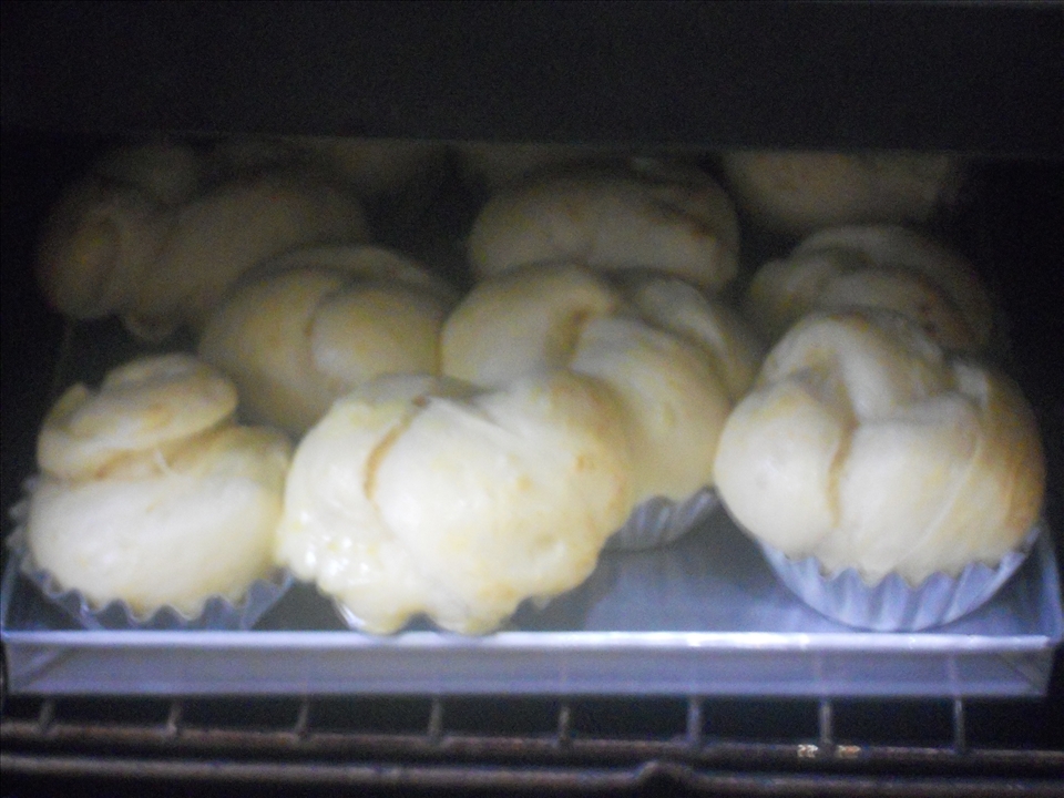 Growing in the oven