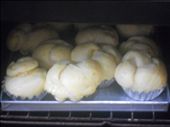 Growing in the oven: by kimthecoco, Views[416]