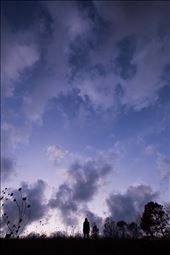 Skyhigh: by kingweber, Views[237]