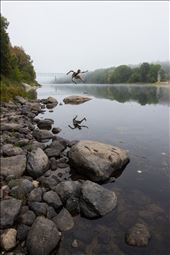 Jump.: by kingweber, Views[193]