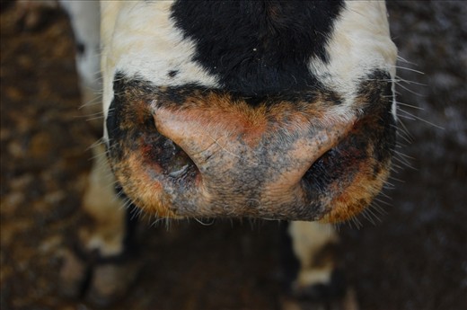 Markets bring a community together.  One finds themselves walking through for the reasons of feeding their family, social interaction with neighbors, or to experience the bright colors and flavors of the week.
