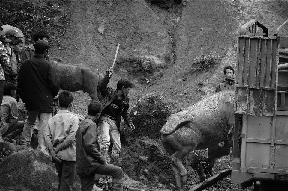 A life of labor for one, means a fruitful future for others.