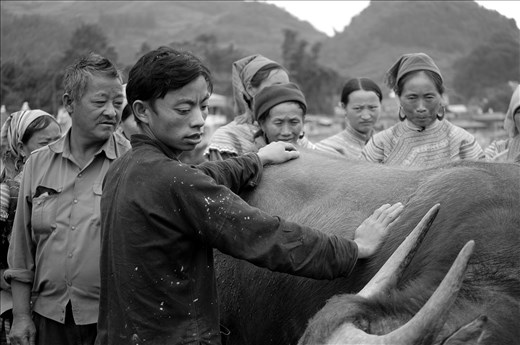 It is essential to have at least one large beast to have a successful year.