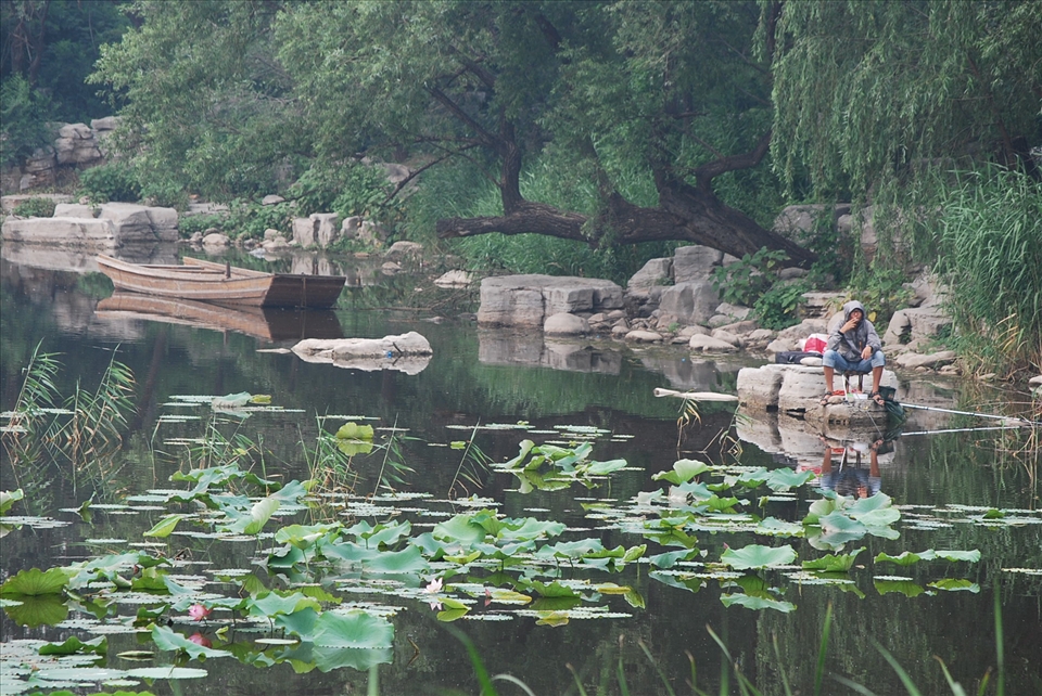 The same fisherman at the waterlily pond.