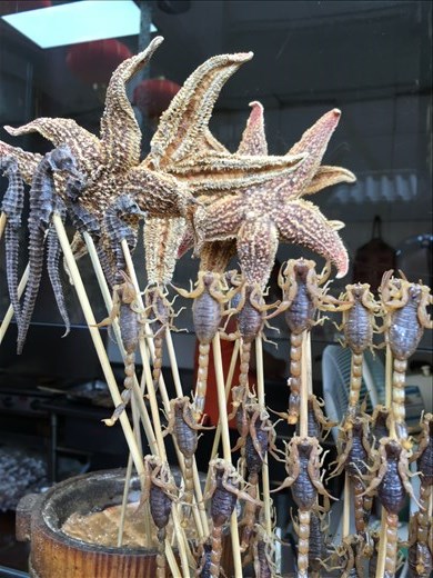 Wangfujing Market street food- fried starfish and scorpions