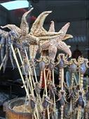 Wangfujing Market street food- fried starfish and scorpions: by kirmily, Views[690]
