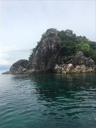 There were a ton of fish to see here