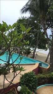 Cookies pool: by kirmily, Views[163]