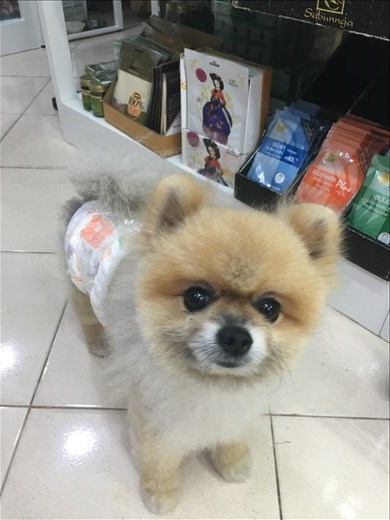 Emily found a friend