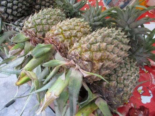 Fresh Pineapples, notice the stems still on them!