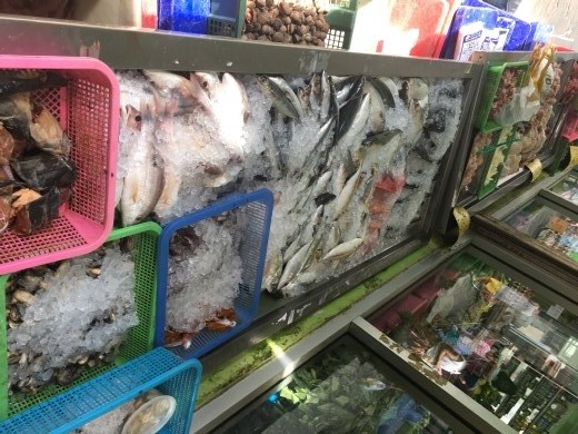 Fresh fish in the market on Koh Phi Phi.