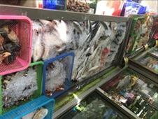 Fresh fish in the market on Koh Phi Phi.: by kirmily, Views[204]