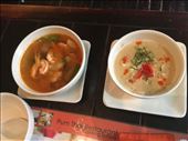 Tom Yum Goong and Green Curry: by kirmily, Views[331]