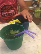Buckets: by kirmily, Views[192]