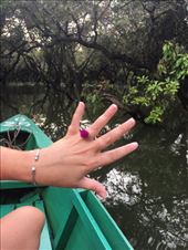 Flower ring: by kirmily, Views[295]