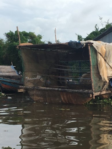Collecting the fish in the Delta