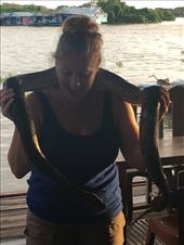 Snake in the Mekong: by kirmily, Views[328]