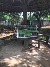 by kirmily, Views[171]