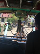 Transportation on Gili Air: by kirmily, Views[213]