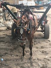 by kirmily, Views[187]