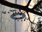 Chillin at the Mexican Kitchen: by kirmily, Views[223]