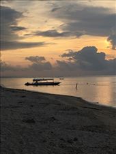 by kirmily, Views[157]