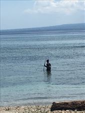 Fishing: by kirmily, Views[204]