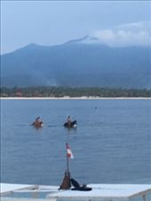 Horses cooling off: by kirmily, Views[179]