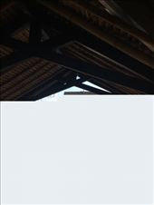 by kirmily, Views[344]