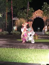 by kirmily, Views[238]